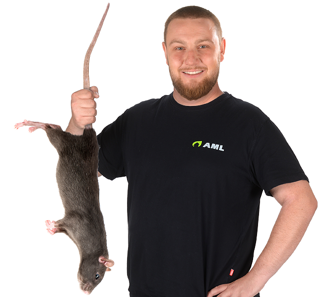 Adrian Machal mit Ratte – Kammerjäger Stuttgart – AML Schädlingsbekämpfung Adrian Machal – Kammerjäger für Stuttgart – AML Schädlingsbekämpfung