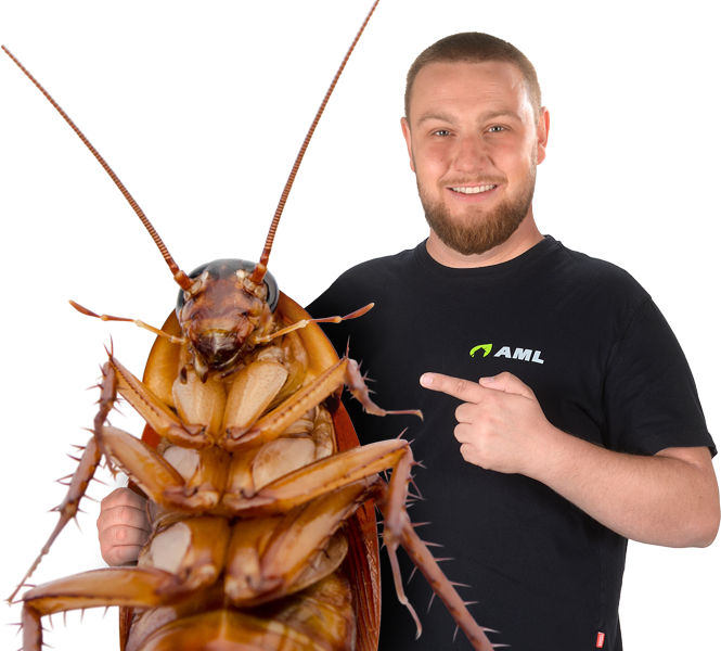 Adrian Machal mit Schabe – Kammerjäger Stuttgart – AML Schädlingsbekämpfung Adrian Machal – Kammerjäger für Stuttgart – AML Schädlingsbekämpfung