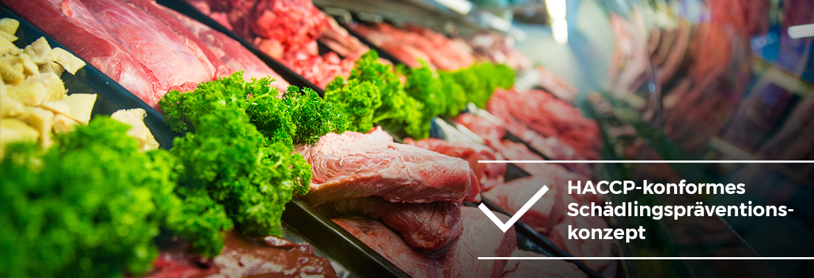 Lebensmittel-Betriebe - HACCP-konformes Schädlingspräventionskonzept - AML Schädlingsbekämpfung