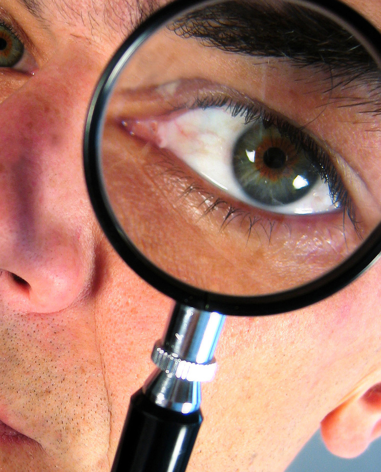 Schädlings-Diagnose ONLINE – Kammerjäger Stuttgart – AML Schädlingsbekämpfung Schädlings-Diagnose ONLINE - AML Schädlingsbekämpfung