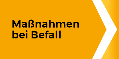 Hotellerie – AML Schädlingsbekämpfung